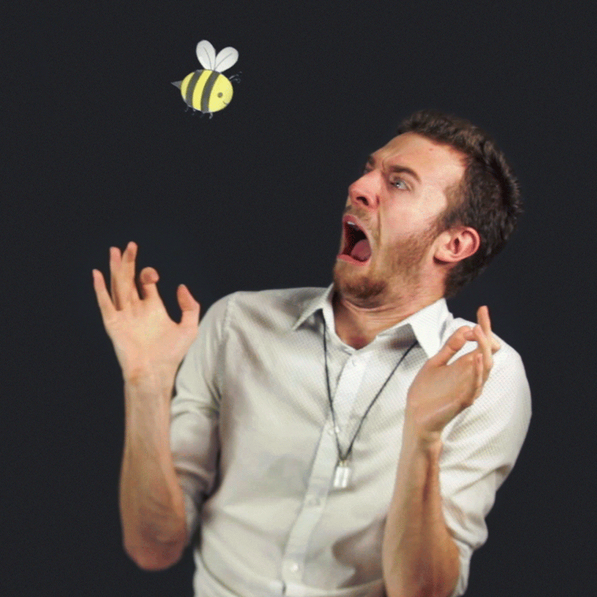 Bombus bombus: existing and vibing, pollinating your plants; evan: *incoherent screaming*
