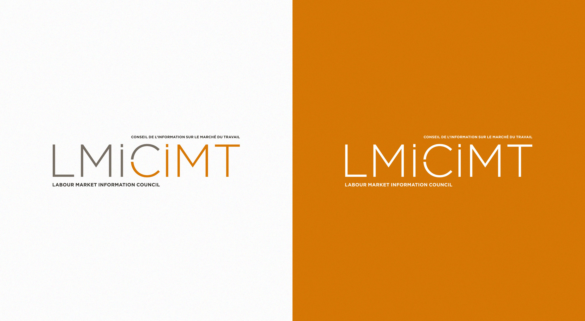 LMIC Logo Color Variants