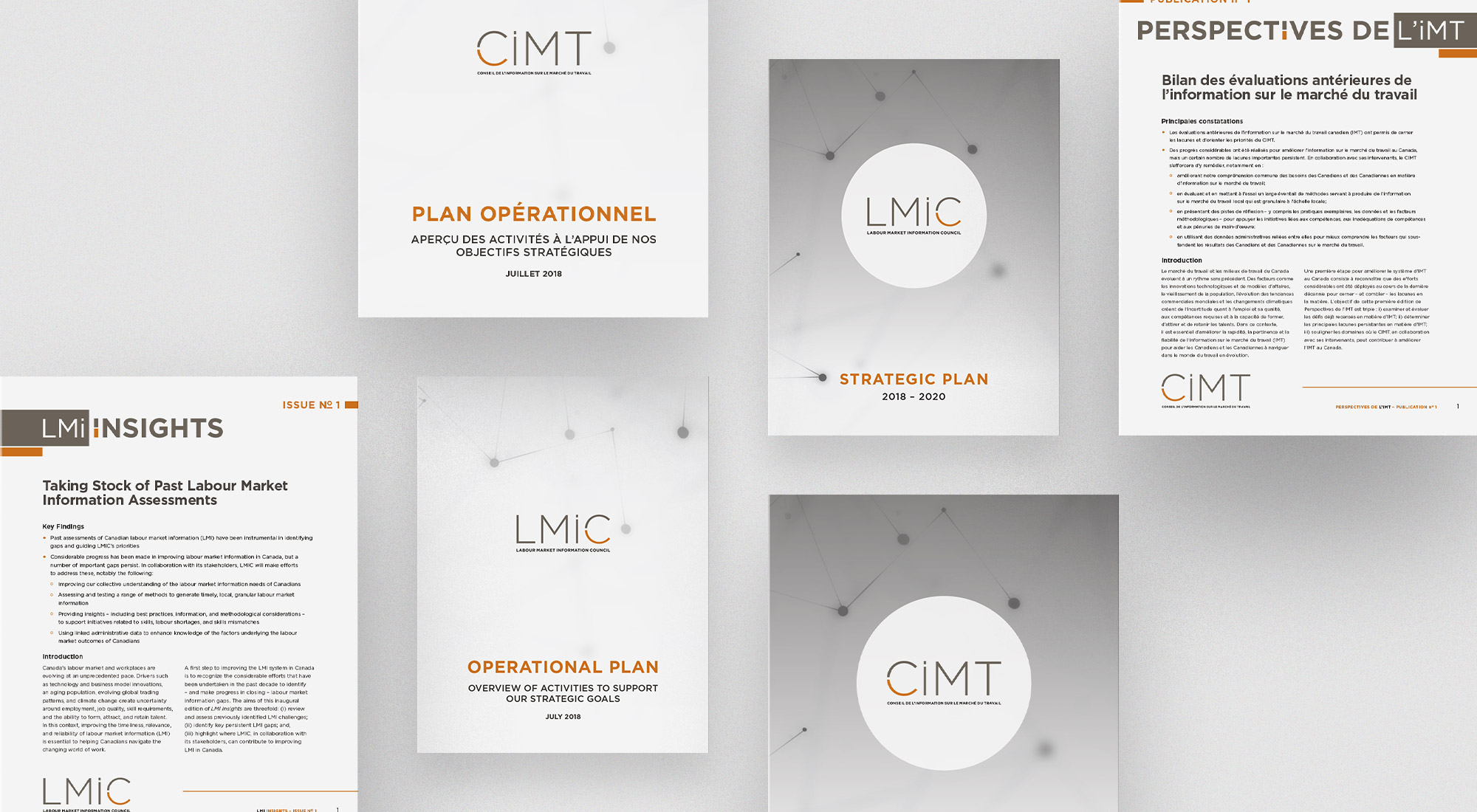 LMIC Website