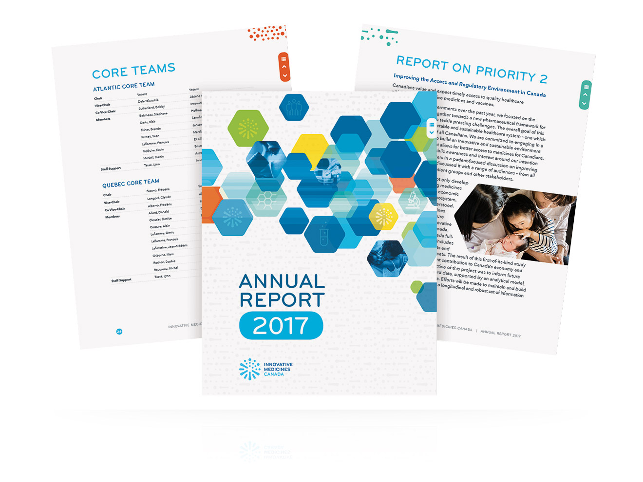 IMC Annual Report
