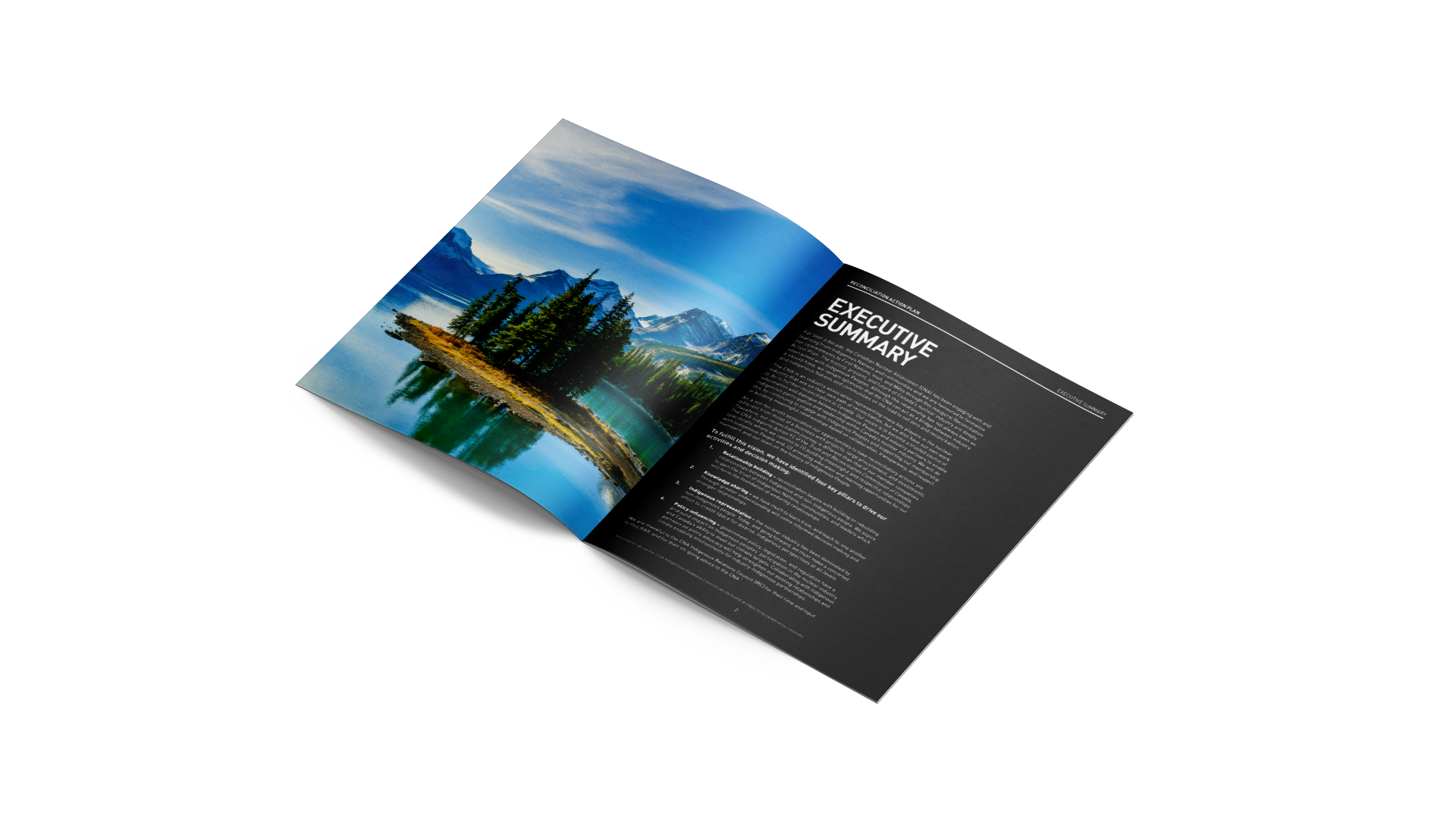 RAP spread: left page with waterscape image, right page with key article in white text on black background.