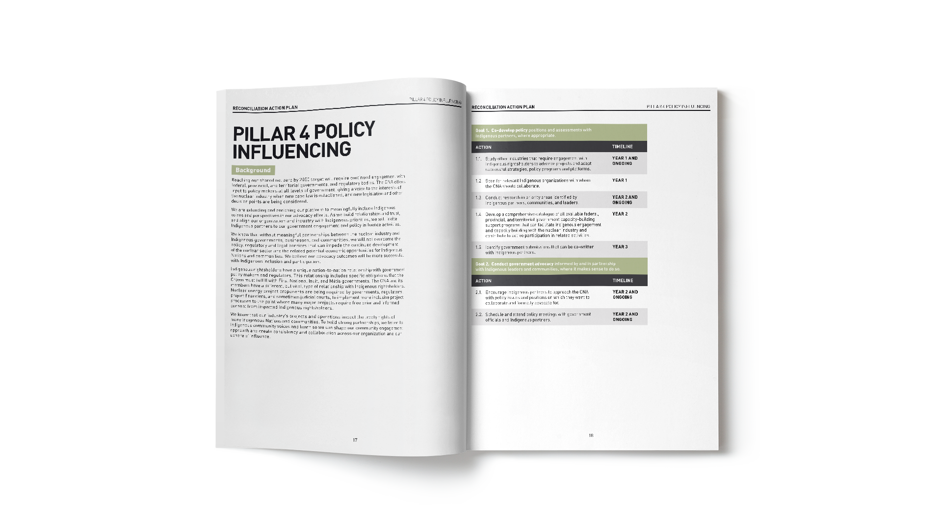RAP spread: left page details ‘Pillar 4 Policy Influencing’, right page features supporting table.