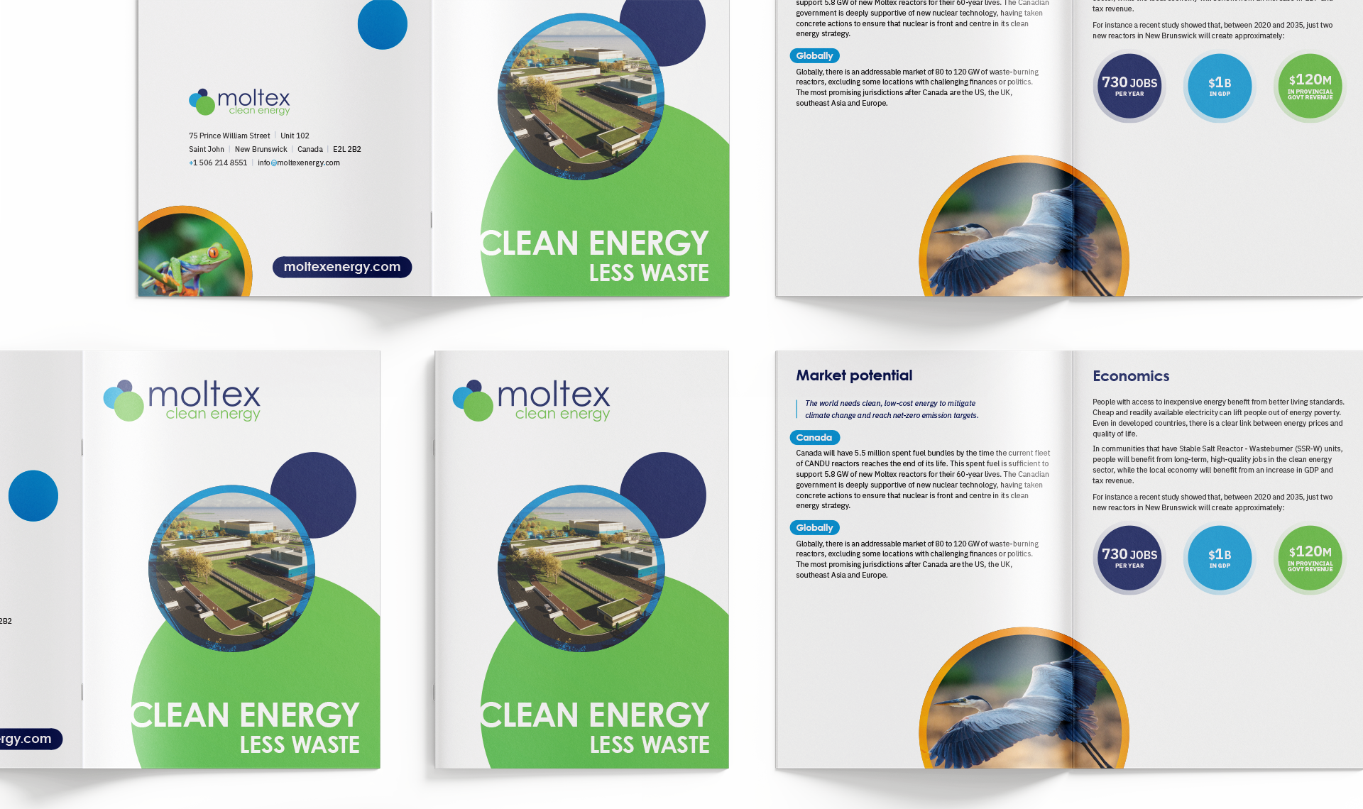 Multiple copies of the brochure opened facing down and up, showing the front, back, and inside.