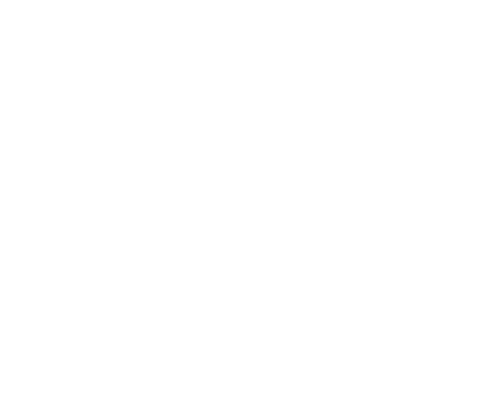 Laurentis Energy Partners logo in white on a transparent background.