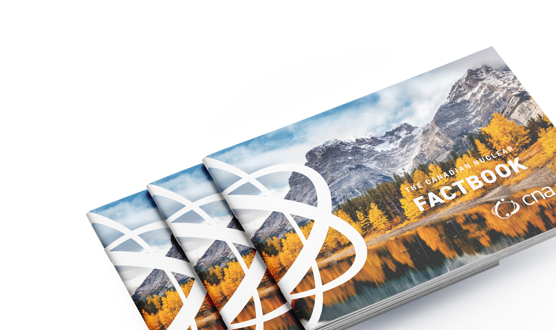 Three books showing the CNA Factbook 2025 cover, with a landscape image, white nuclear symbol, title, and logo.