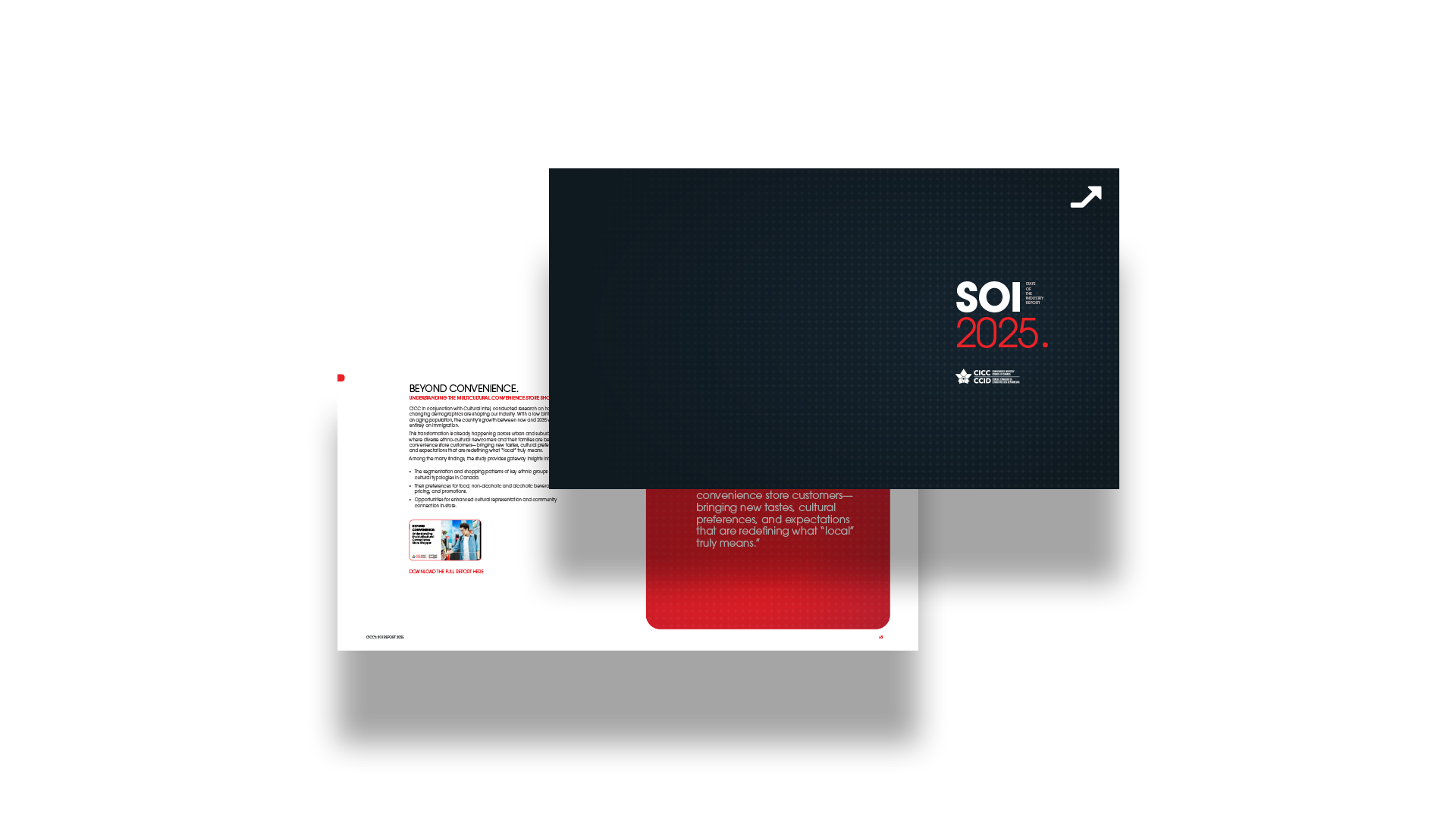 2025 SOI cover: black background with white ‘SOI’ title, full name beside, ‘2025’ in red, CICC logo at bottom, and a report page behind.